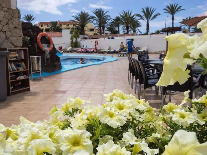 Apartment In Playa De Las Americas 1 מראה חיצוני תמונה